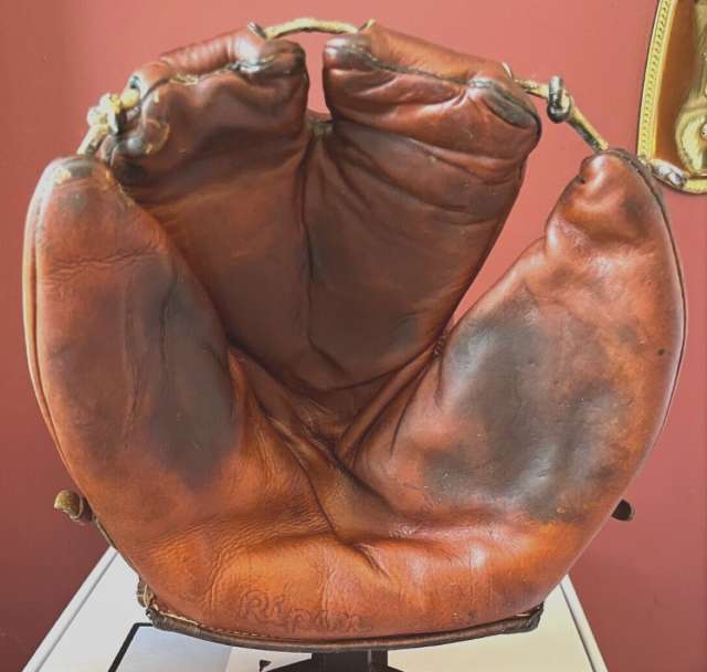 Ripon Ambidextrous Glove Front